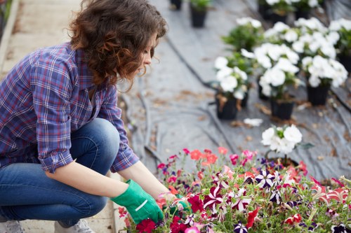 Pruned shrubs and well-maintained garden beds in Tufnell Park